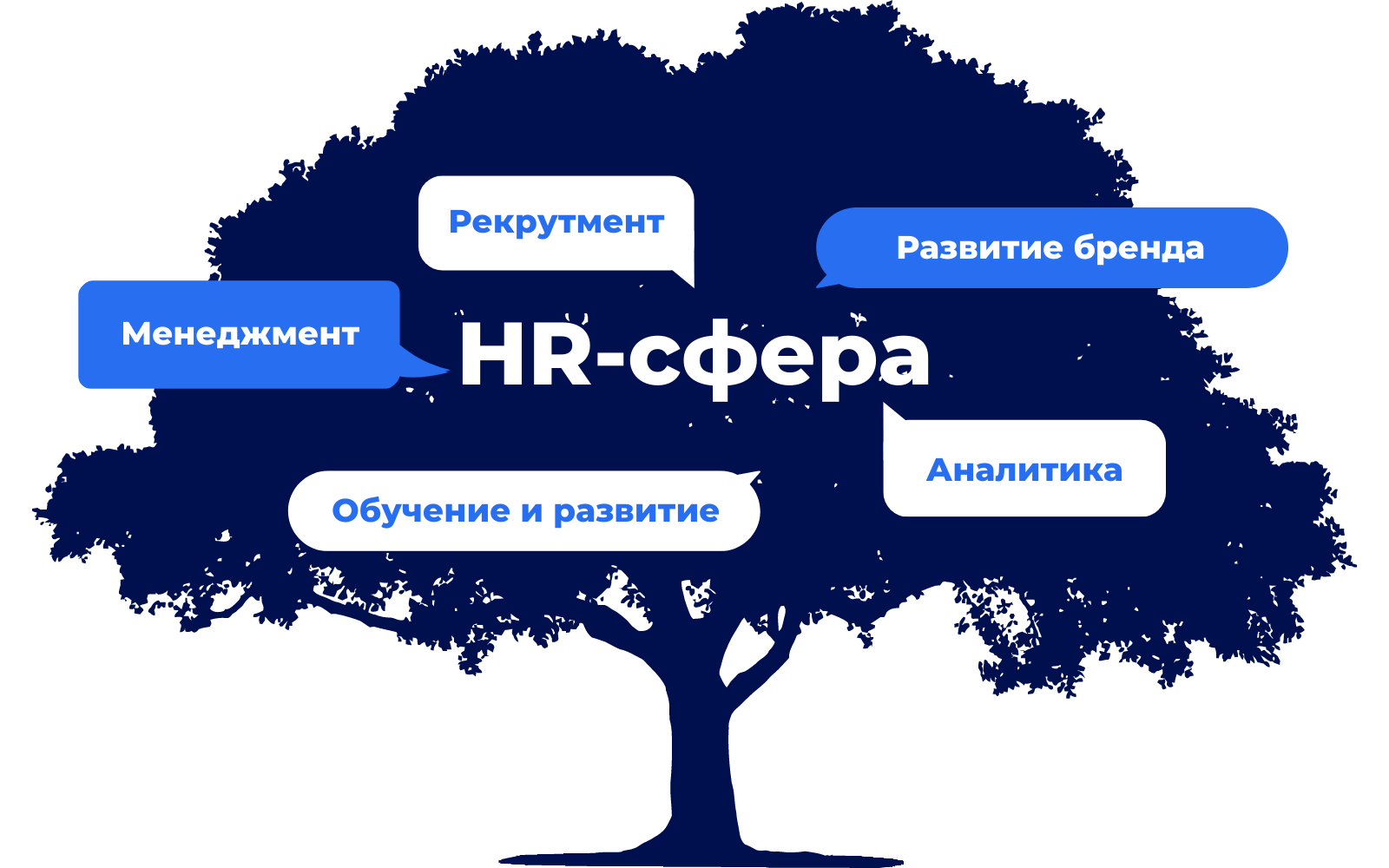 Возможности hr-сферы для hr-специалиста